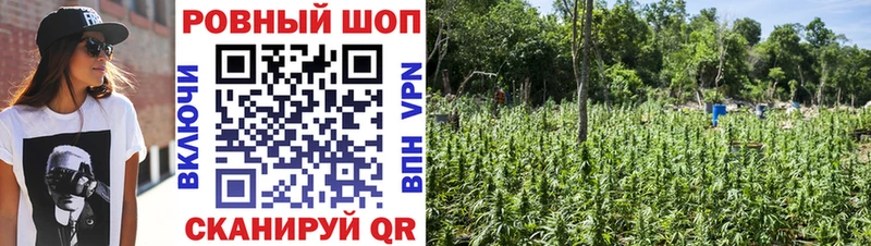 Купить закладку Мещовск Псилоцибиновые грибы  Амфетамин  МАРИХУАНА  Гашиш  Кокаин 