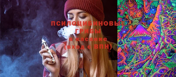 ГАЛЛЮЦИНОГЕННЫЕ ГРИБЫ Алексеевка