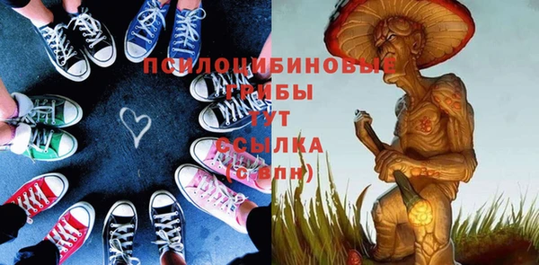 ГАЛЛЮЦИНОГЕННЫЕ ГРИБЫ Алексеевка
