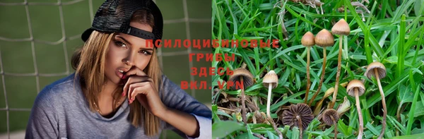 спиды Абинск