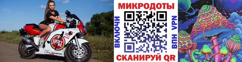 Псилоцибиновые грибы прущие грибы  hydra   Мещовск 